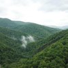 Красота природы: Закарпатские леса показали с высоты птичьего полета (фото, видео)