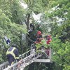 В Германии самолет с людьми застрял на дереве (фото)
