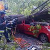 В Хмельницком упавшее дерево повредило четыре авто (видео)