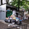 Стоит невыносимая вонь: в сети показали фото заваленного мусором Донецка