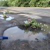 Активісти Луцька облаштували квіткові клумби на проблемних автошляхах