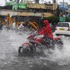 Из-за мощного циклона "Фани" в Индии погибли уже 12 человек