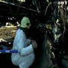 Авіакатастрофа у "Шереметьєво": слідчі встановили причину трагедії