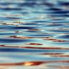 В озере на Борщаговке утонул мужчина