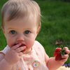 Можно ли детям есть немытые ягоды: ответ врача 