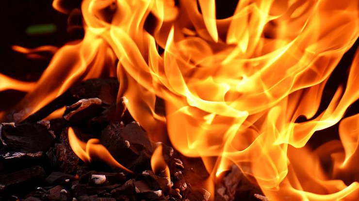 В Украине ожидается чрезвычайная пожарная опасность Фото: Pixabay