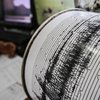 США сколыхнуло землетрясение