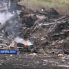 Родичі жертв рейсу MH17 отримали компенсації