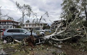 Фото: AFP