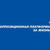 "Оппозиционная платформа - За жизнь" требует освободить из под стражи Кирилла Вышинского 