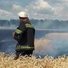 Под Киевом пожар уничтожил 10 гектаров пшеницы (фото)