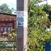 Агитационные листовки представителя "Батькивщины" заполонили улицы Любашевского района Одесской области