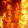 В Киеве горит дом: люди оказались в ловушке (видео)