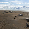 Ужасающее зрелище: в Исландии обнаружили десятки мертвых китов