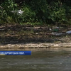 На Закарпатті річки вимивають сміття за кордон
