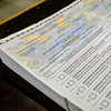 Досрочные выборы: ЦИК осталось принять один протокол
