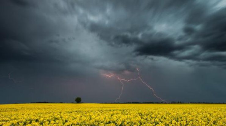 Фото: непогода в Украине 