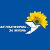 "Опозиційна платформа - За життя": телемости - це перший крок у відновленні відносин з Росією і єдиний шлях до миру