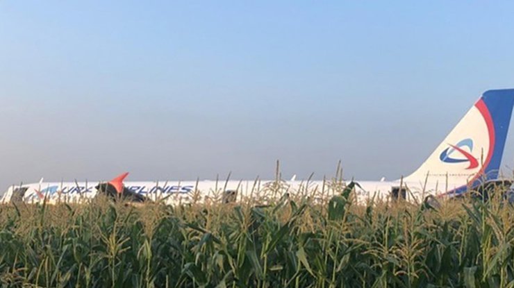 Жесткая посадка самолета в поле / Фото: ERR
