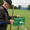 У Німеччині зафіксували спалах агресії серед корів