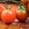 Почему нужно есть помидоры: топ-5 причин