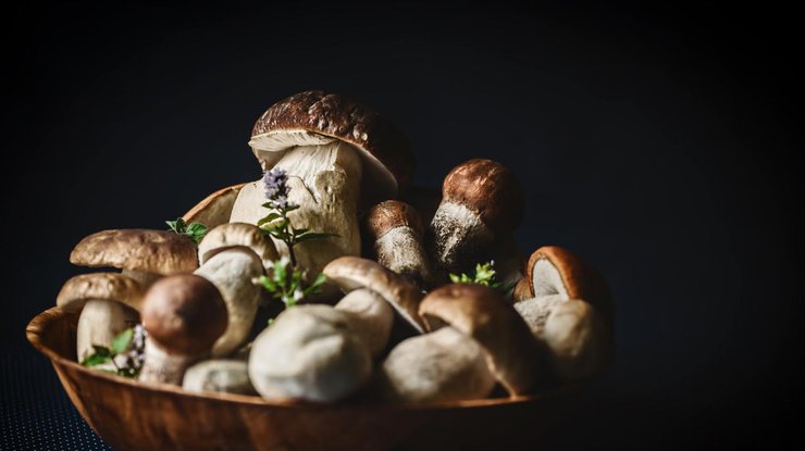 Почему детям нельзя есть грибы