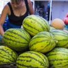 В Украине упали цены на арбузы