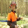 Звалити і розпиляти: на Буковині пройшли змагання лісорубів