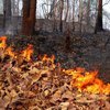 В Украине предупредили о невероятной пожарной опасности 