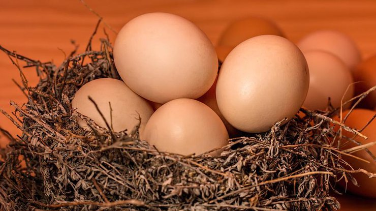 Почему нужно есть яйца/ Фото: Pixabay