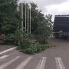 По Николаеву пронесся мощный ураган 