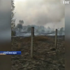 Підпал лісу у Чурнобилі: поліція затримала підозрювану