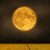 Урожайная Луна 13 сентября: такое не повторится до 2049 года