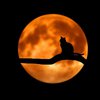Лунный гороскоп на 18 сентября для всех знаков зодиака