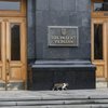 Поджог дома Гонтаревой: у Зеленского требуют немедленного расследования