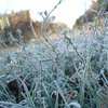 В Украине прогнозируют заморозки