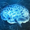 Как улучшить работу мозга без медикаментов: 5 способов