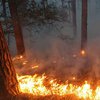 Украинцев предупредили о пожарной опасности 