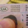 В Украине появятся электронные водительские права