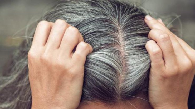 Почему старею волосы / Фото: waewkid/Shutterstock.com