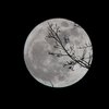 Лунный гороскоп на 5 сентября для всех знаков зодиака