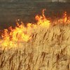Киевлян предупредили о чрезвычайной пожарной опасности 