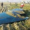 Катастрофа Boeing 737 в Ірані: світові лідери висувають версію трагедії