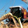 Украина вошла в тройку лидеров-экспортеров сельхозпродукции в Евросоюз