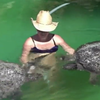 У Мексиці рятують черепах від отруйних водоростей
