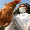 В Виннице зафиксировали вспышку птичьего гриппа 