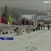 У Чехії стартували грандіозні перегони на собачих упряжках