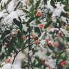 Мокрый снег с дождем: синоптики рассказали о погоде на выходных