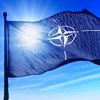 НАТО приостанавливает учения в Ираке