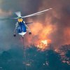 Пожары в Австралии: количество погибших животных превысило миллиард